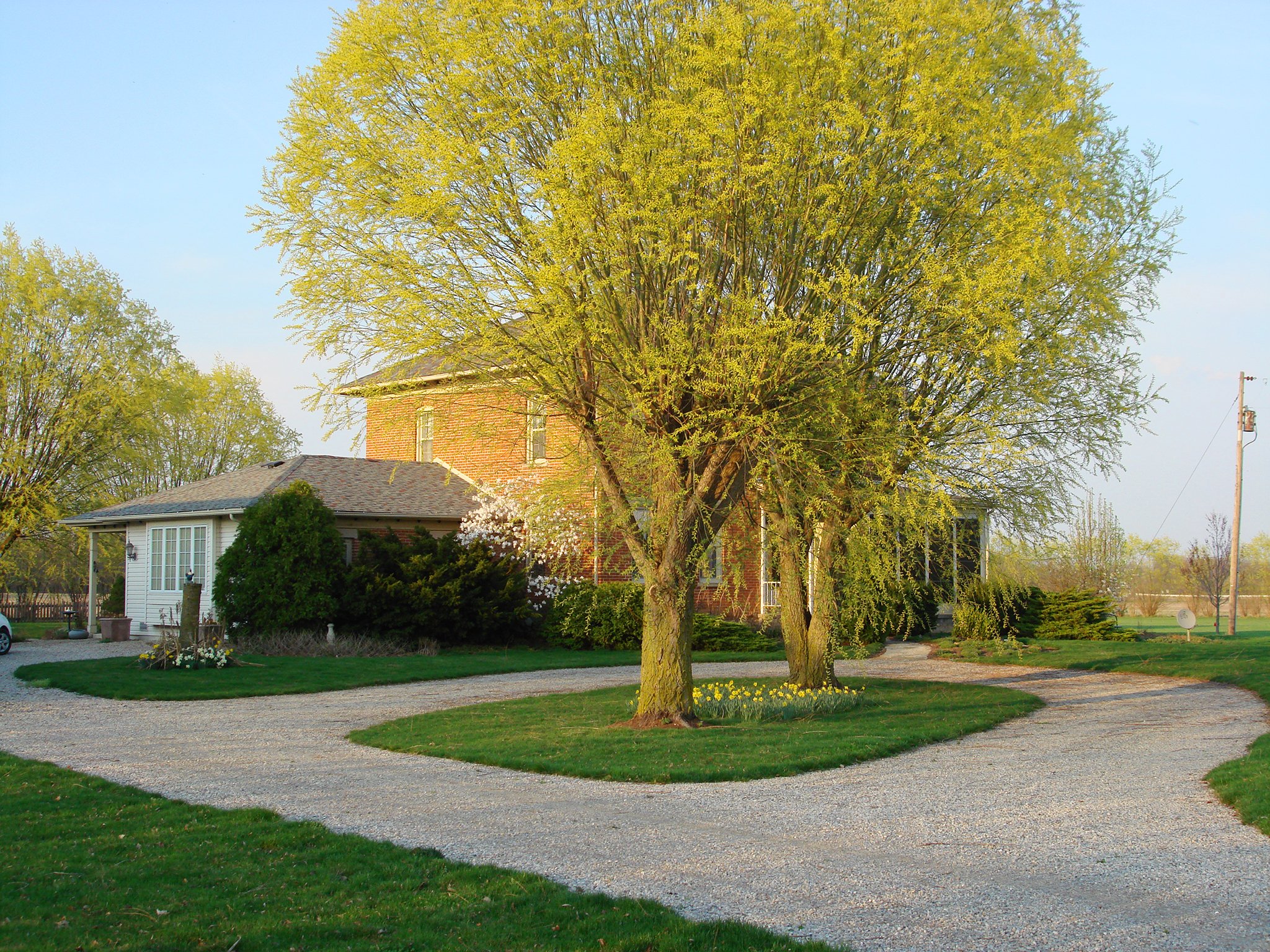 Property photo 47 - REAL ESTATE AUCTION! Grand Historic All Brick Home on 2.45 Acres!